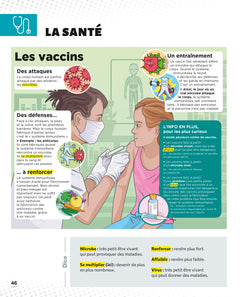 Le Petit Quotidien - L'encyclopédie visuelle - Corps humain