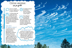 Petite grammaire poétique des nuages