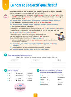 Pour comprendre espagnol 3e