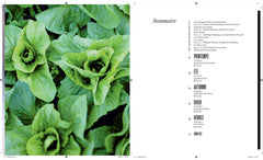 Légumes