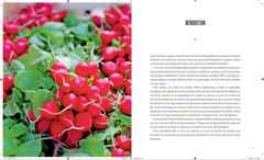 Légumes