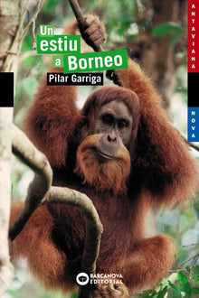 Un Estiu a Borneo / A Summer in Borneo
