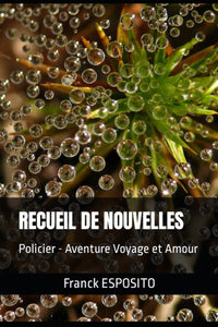 RECUEIL DE NOUVELLES: Policier - Aventure Voyage et Amour
