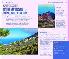 Canaries Guide Evasion