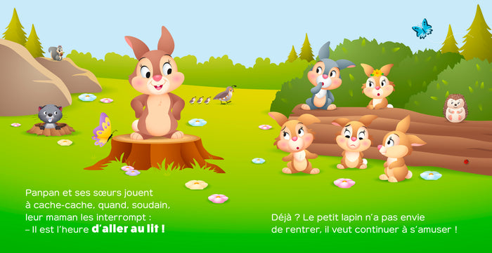 Bonne nuit, p'tit coquin ! - Panpan se cache