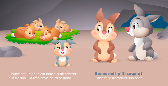 Bonne nuit, p'tit coquin ! - Panpan se cache