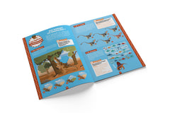 30 activités pour découvrir les dinosaures