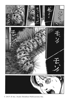 Coffret Les Chefs-d'oeuvre de Junji Ito