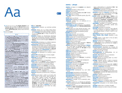 Le Robert & Collins Maxi + anglais