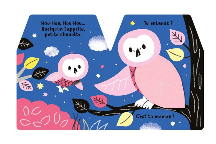 Cache-cache petite chouette