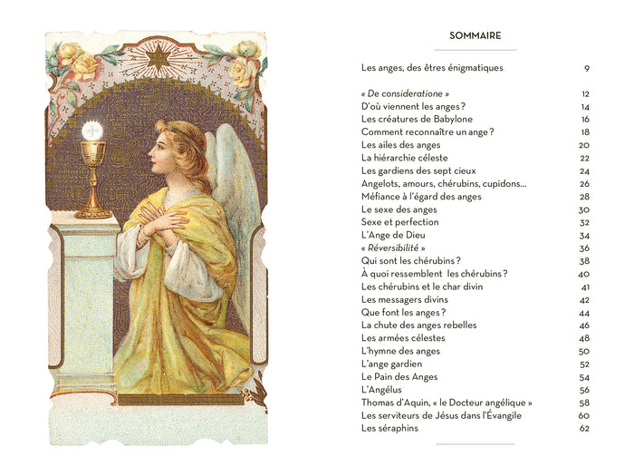 Le petit livre des anges