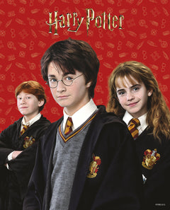 Harry Potter - Ma pochette d'anniversaire - Des activités et des cadeaux