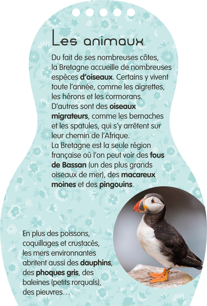 Minimiki - Carnet créatif - Maëlle en Bretagne