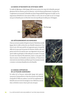 A la découverte des araignées et autres arachnides