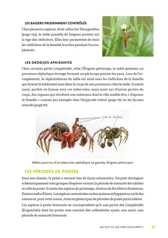 A la découverte des araignées et autres arachnides