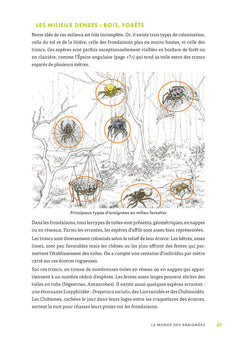 A la découverte des araignées et autres arachnides