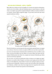 A la découverte des araignées et autres arachnides