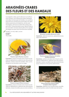 A la découverte des araignées et autres arachnides