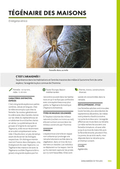 A la découverte des araignées et autres arachnides