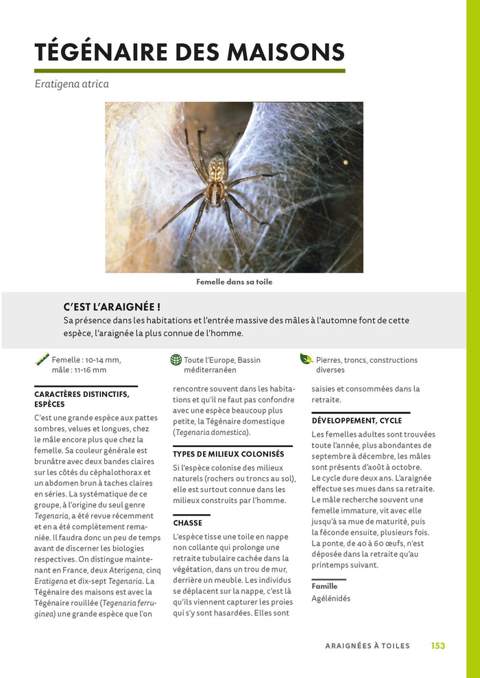 A la découverte des araignées et autres arachnides