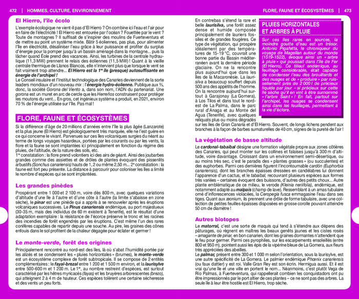 Guide du Routard Canaries 2023/24