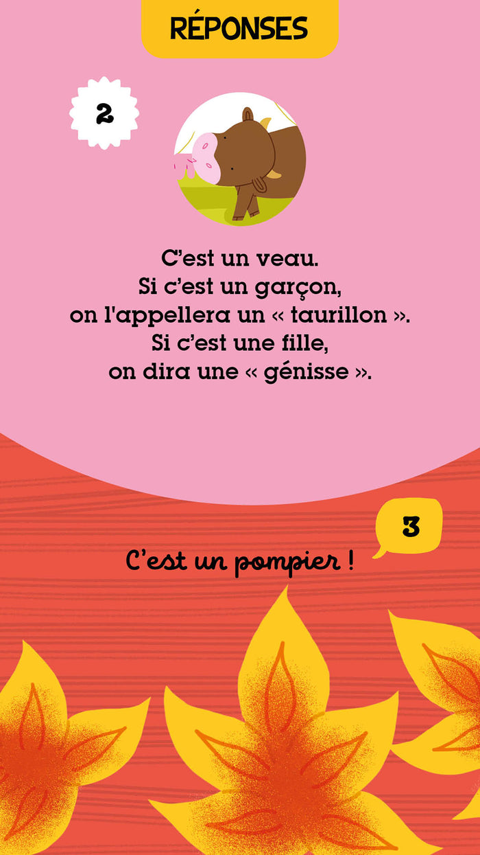 Les quiz de mes 4 ans