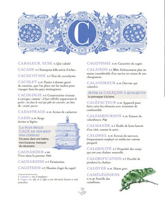 Mots et expressions de Pierre Larousse