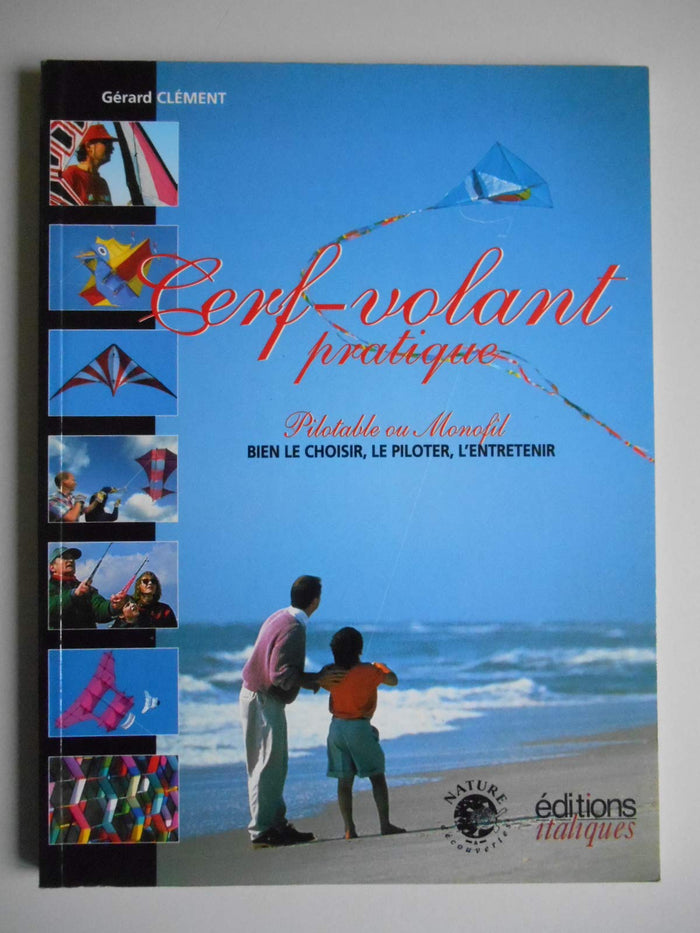 Cerf-volant pratique : pilotable ou monofil