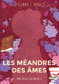Les méandres des âmes: Romance MM