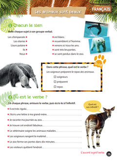 Cahier de vacances UNE SAISON AU ZOO CE1-CE2