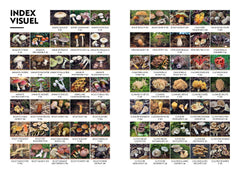 Le guide des champignons