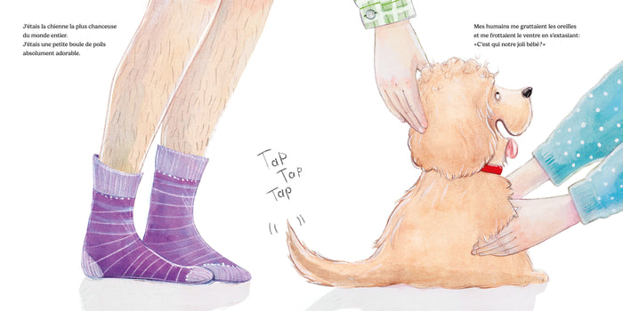 Quand Sally rencontre Harry