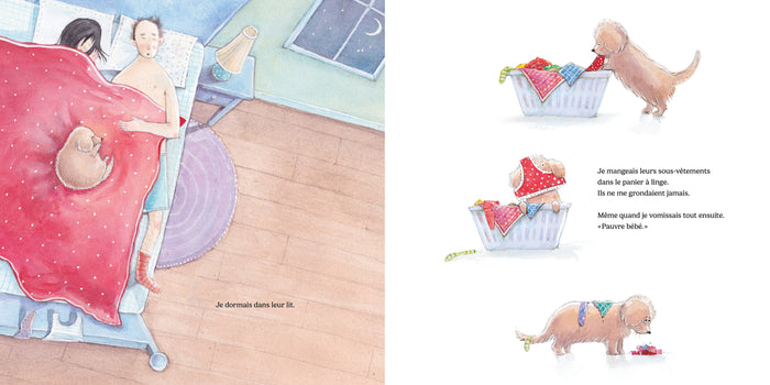 Quand Sally rencontre Harry