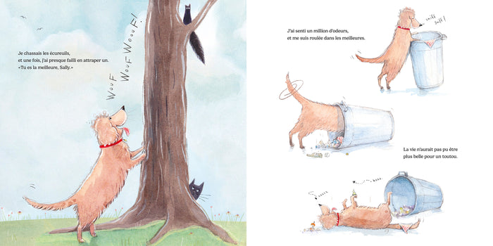 Quand Sally rencontre Harry