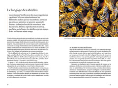 Les super-pouvoirs des abeilles - Ce que nous dit la science