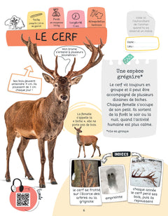 Je sais reconnaître les animaux sauvages