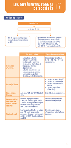 Le petit Droit des sociétés 2023