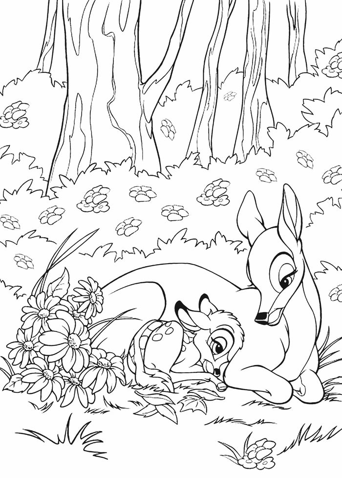 DISNEY TEENS - Atelier de coloriages - Flower Power