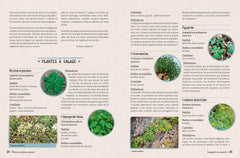 Vivre en pleine nature : Le guide de la survie douce