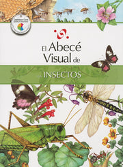 El abece visual de los insectos