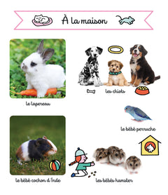 Les bébés animaux