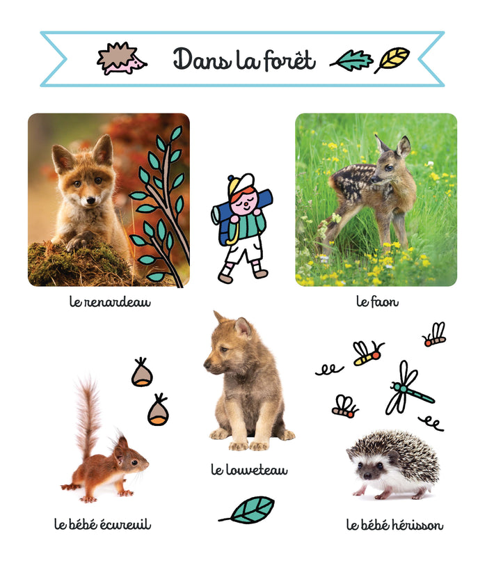 Les bébés animaux
