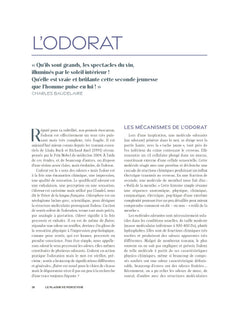 Le goût du vin