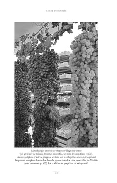 Découvrir les vins d'Italie