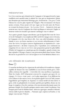 Découvrir les vins d'Italie