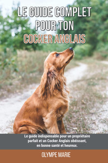 Le guide complet pour ton Cocker Anglais