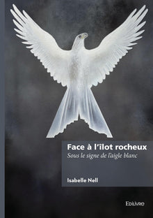 Face à l'îlot rocheux