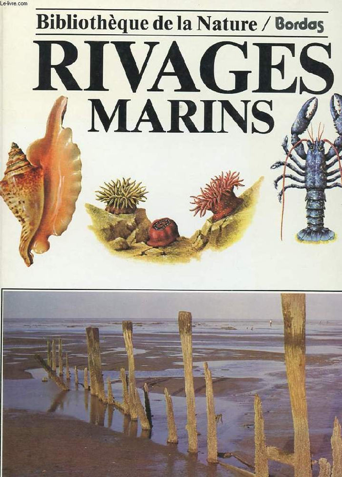 Les rivages marins