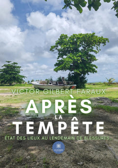 Après la tempête
