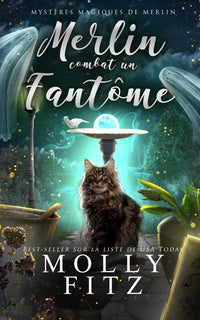 Merlin combat un fantôme